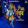 About Om Namah Shivay Song